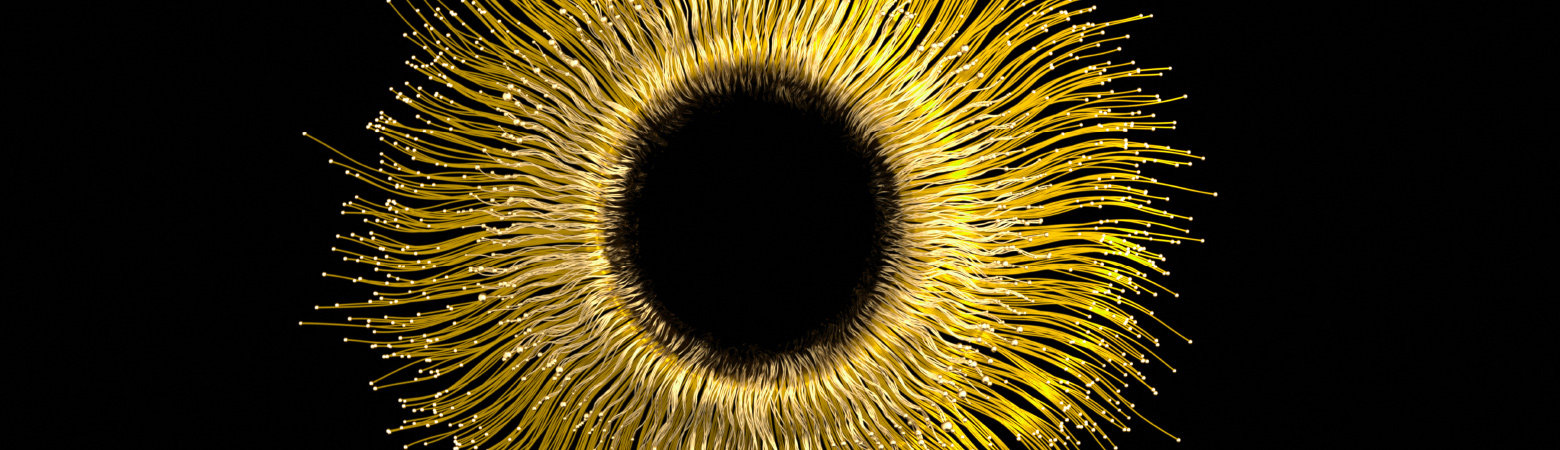 Header MM Surgical Start